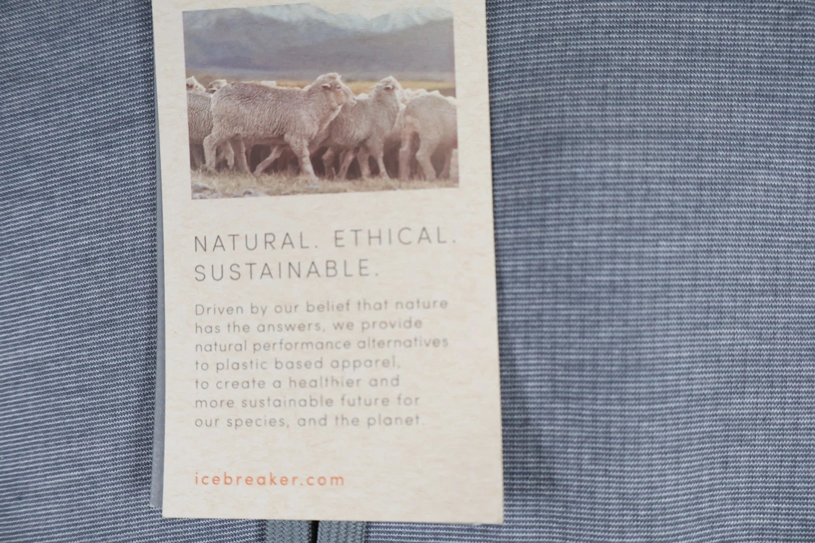 Icebreaker Women's Merino Momentum Pullover ("Fossil", Size XS)